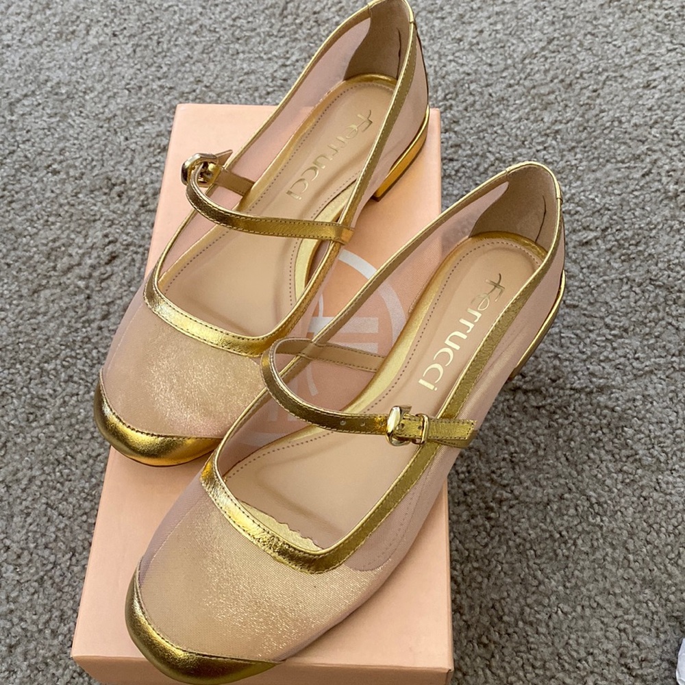 Brand new ferrucci shoes